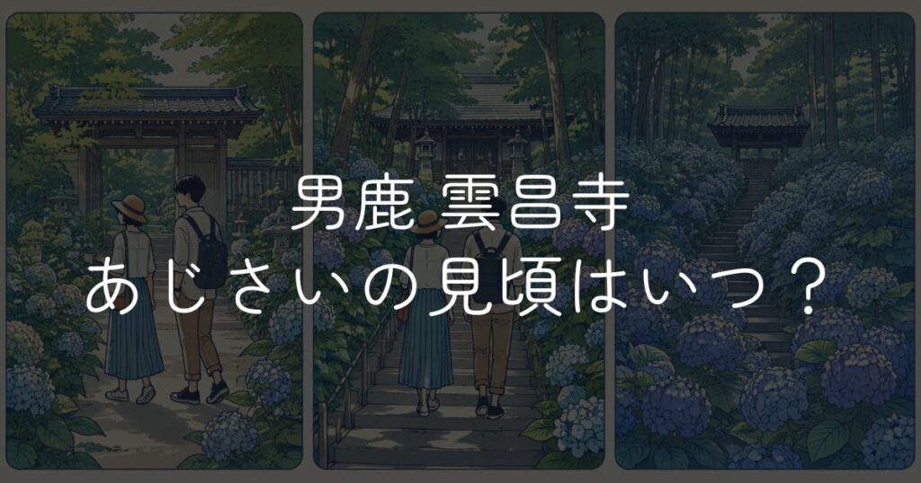 【2026年】雲昌寺あじさいの見頃はいつ？開花状況と楽しみ方
