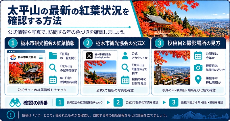 太平山の最新の紅葉状況を確認する方法