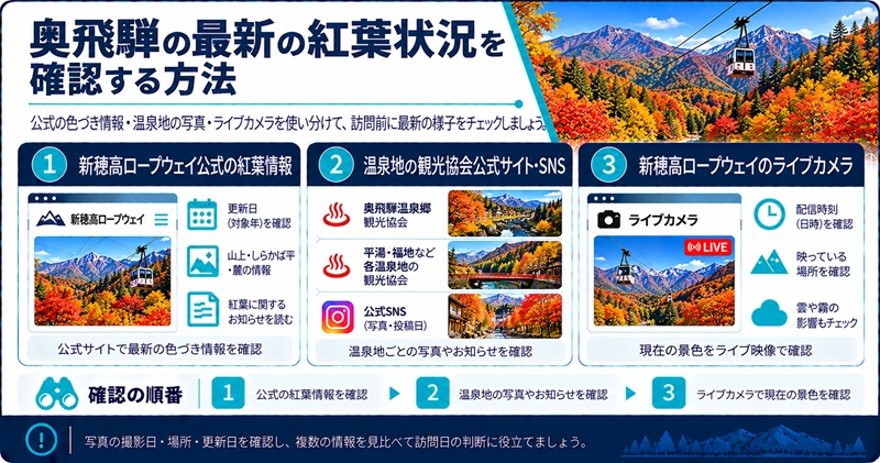 奥飛騨の最新の紅葉状況を確認する方法