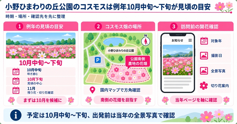 小野ひまわりの丘公園のコスモスは例年10月中旬〜下旬が見頃の目安