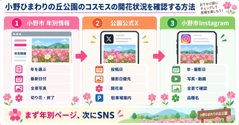 小野ひまわりの丘公園のコスモスの開花状況を確認する方法