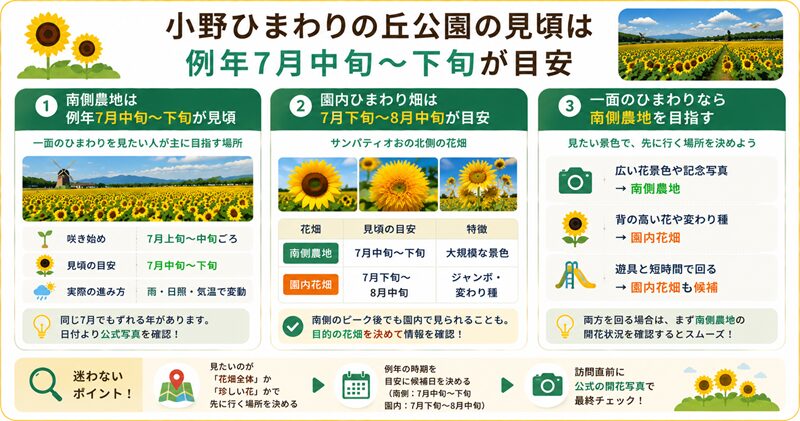 小野ひまわりの丘公園の見頃は例年7月中旬〜下旬が目安