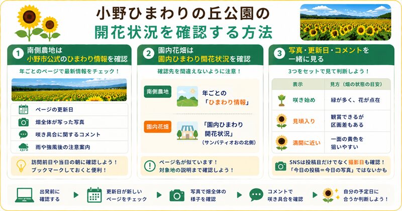 小野ひまわりの丘公園の開花状況を確認する方法