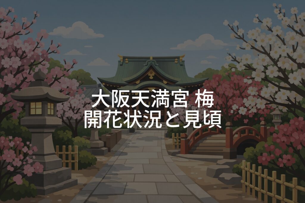 大阪天満宮 梅の開花状況と見頃はいつ？満開時期の目安