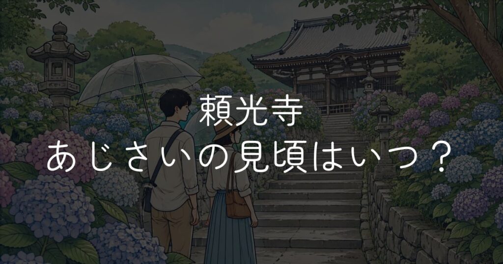 【2026年】頼光寺 紫陽花の見頃はいつ？開花状況と楽しみ方