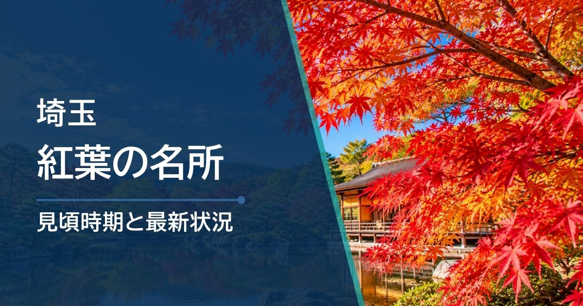 埼玉の紅葉の見頃時期は？エリア別の目安と色づきの確認方法