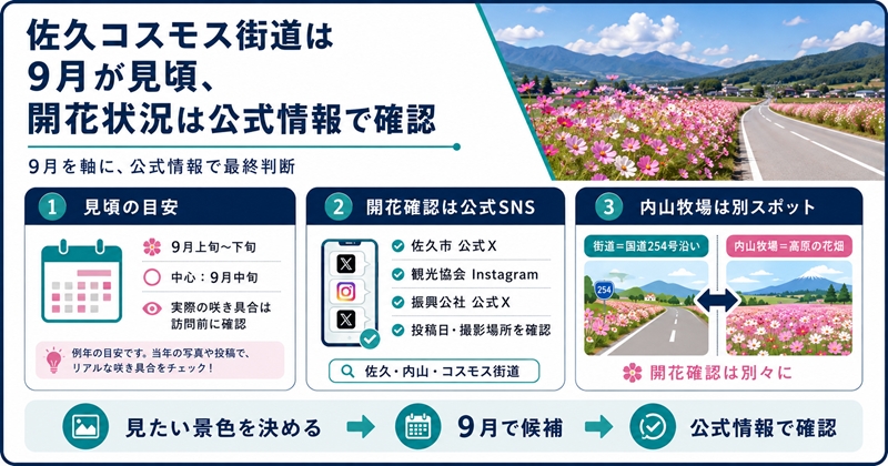 佐久コスモス街道は9月が見頃、開花状況は公式情報で確認