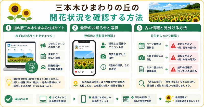 三本木ひまわりの丘の開花状況を確認する方法