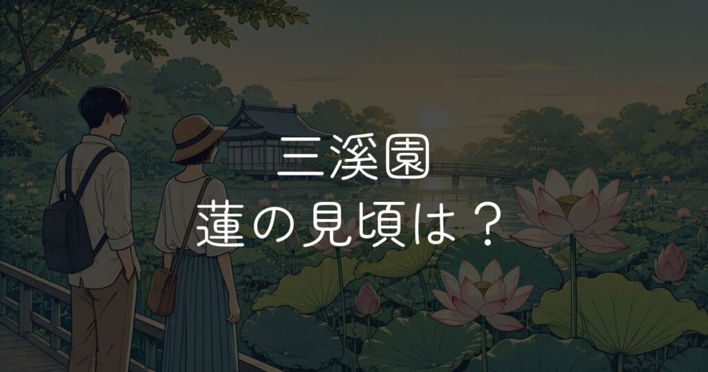 三溪園 蓮の開花状況と見頃時期！早朝観蓮会の楽しみ方