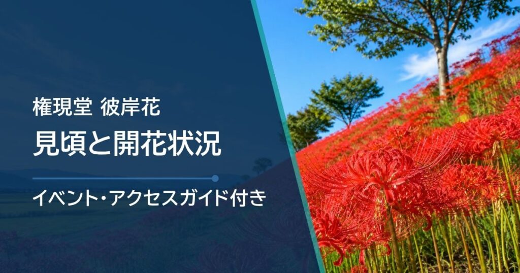 【2026年】権現堂 彼岸花（曼珠沙華まつり）の開花状況と見頃