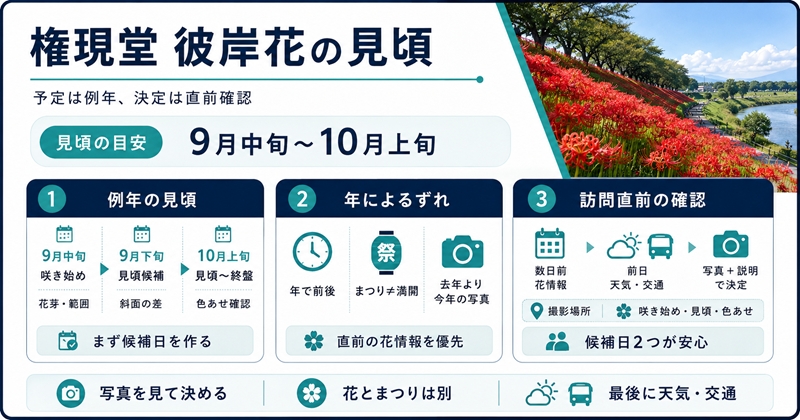 結論:権現堂の彼岸花は開花状況を直前確認、見頃は例年9月中旬〜10月上旬