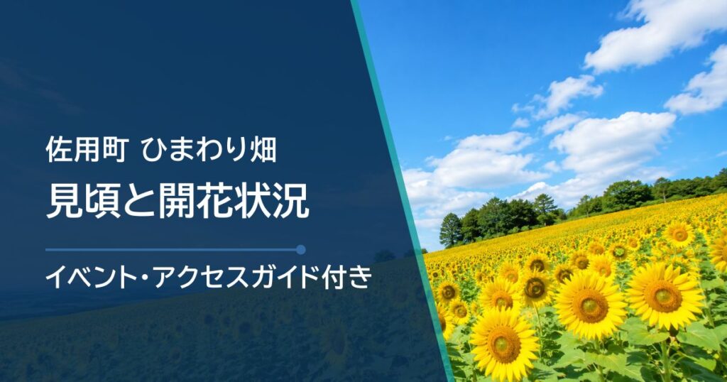 【2026年】佐用町ひまわりの見頃と開花状況｜地区別日程・祭り情報