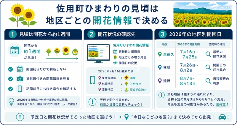 佐用町ひまわりの見頃は地区ごとの開花情報で決める