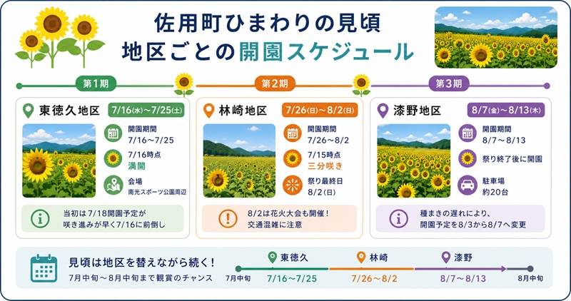 佐用町ひまわりの見頃|地区ごとの開園スケジュール