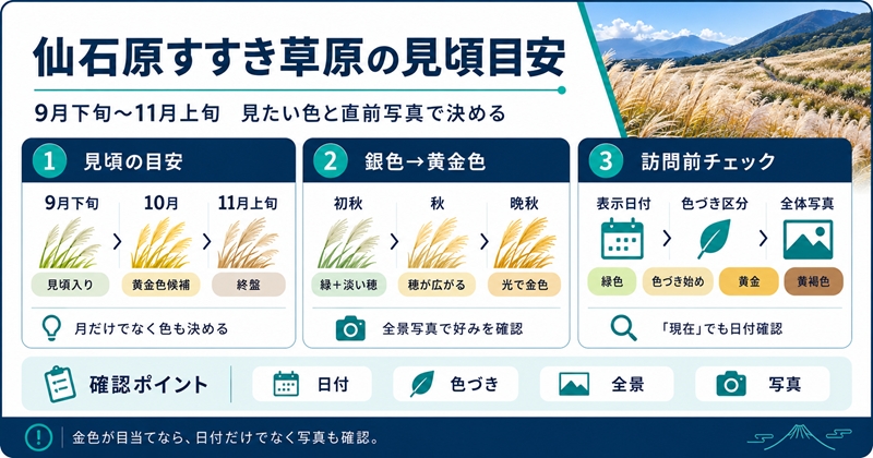 仙石原すすき草原の見頃は例年9月下旬〜11月上旬