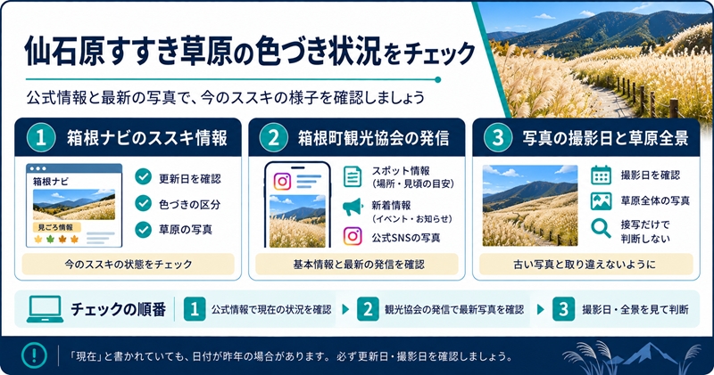 仙石原すすき草原の色づき状況を確認する方法