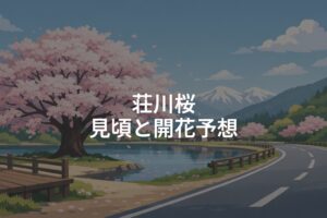 【2026年】荘川桜の見頃はいつ？開花予想とおすすめスポット