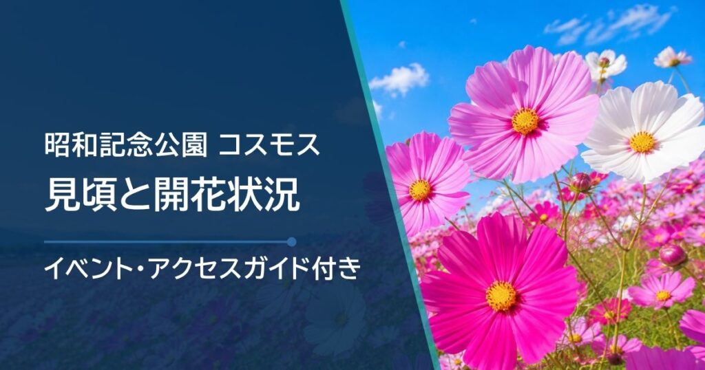 昭和記念公園のコスモスの開花状況はどこで確認？品種別の見頃と花畑に近い入口を紹介