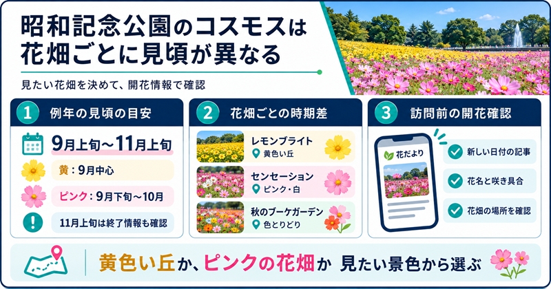 昭和記念公園のコスモスは花畑ごとに見頃が異なる