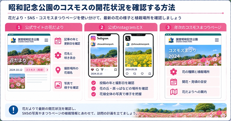 昭和記念公園のコスモスの開花状況を確認する方法