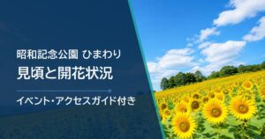 昭和記念公園のひまわり開花状況はどこで確認？見頃・場所・アクセス