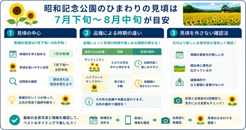結論：昭和記念公園のひまわりの見頃は7月下旬〜8月中旬が目安