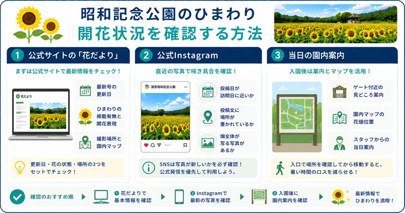 昭和記念公園のひまわり開花状況を確認する方法