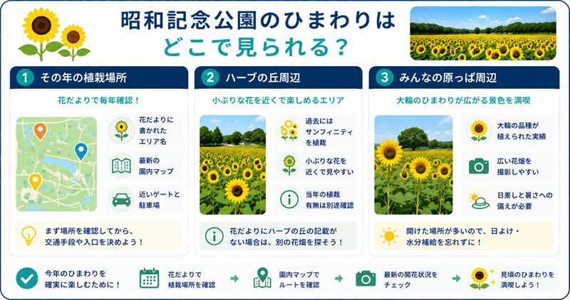 昭和記念公園のひまわりはどこで見られる？