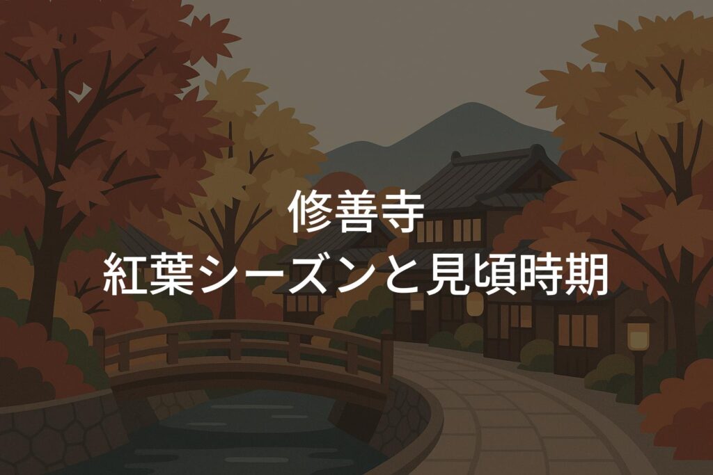 【2025年】修善寺の紅葉シーズンと見頃時期はいつからいつまで？