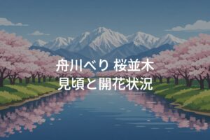 【2026年】舟川べり 桜並木の見頃はいつ？開花状況とおすすめ観賞時期