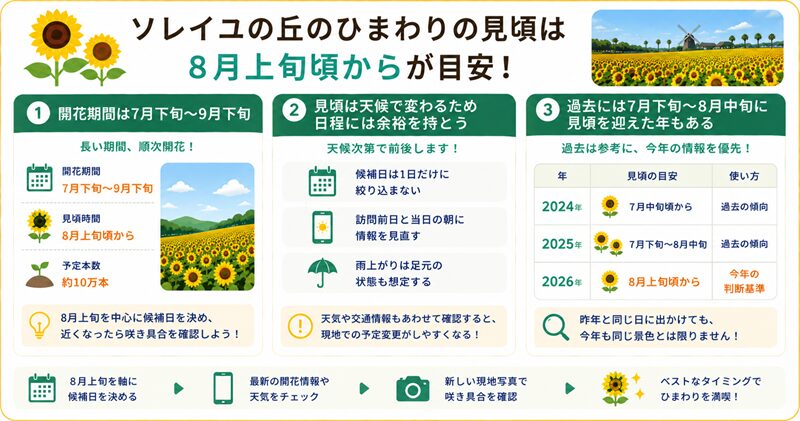 ソレイユの丘のひまわりの見頃は8月上旬頃から