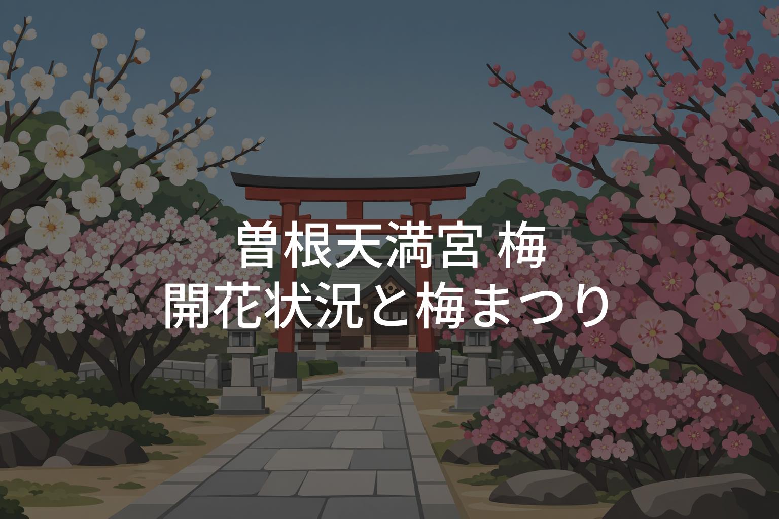 曽根天満宮 梅の開花状況と梅まつり開催時期