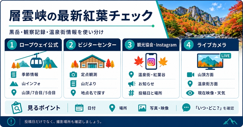 層雲峡の最新の紅葉状況を確認する方法