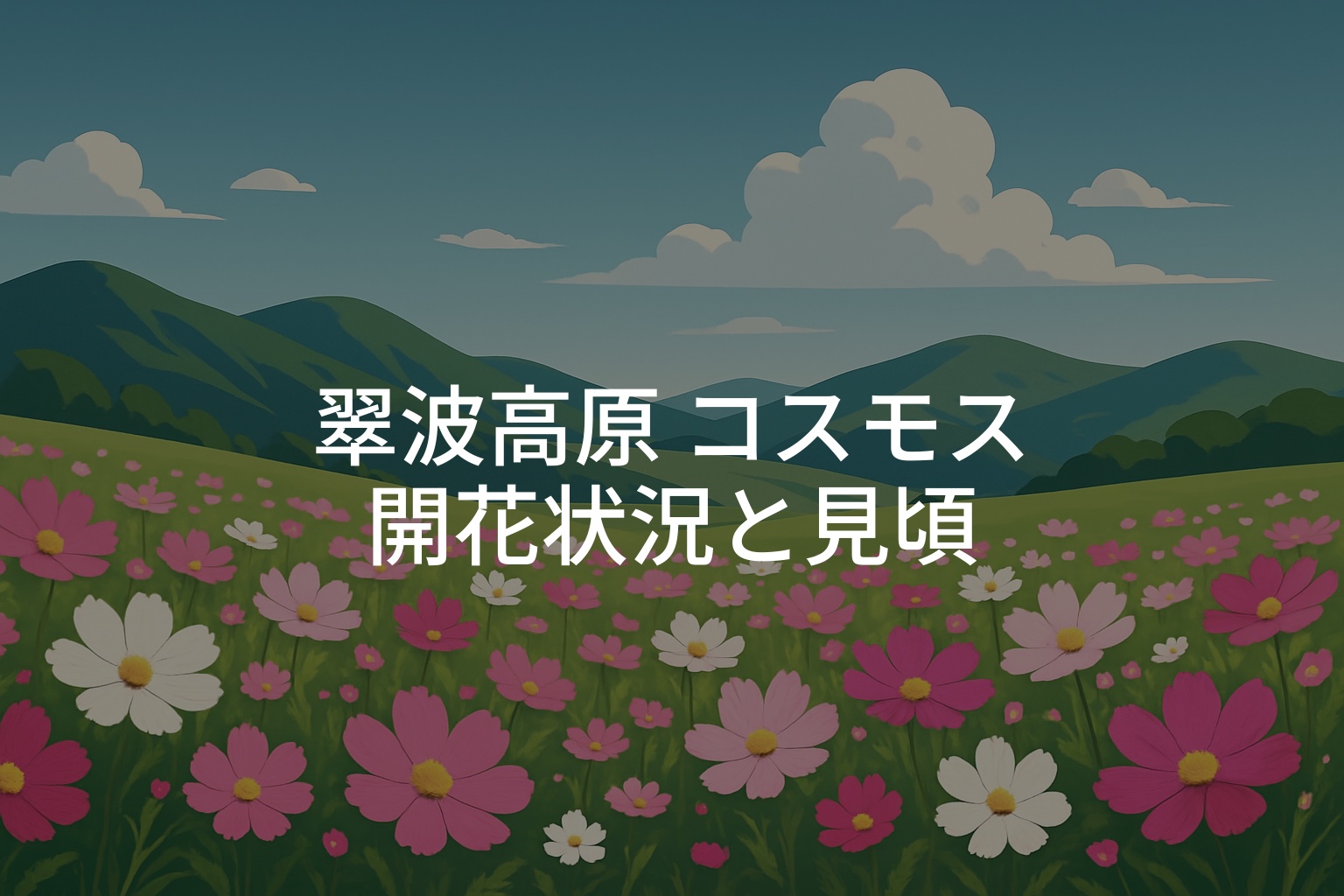 【2025年】翠波高原コスモスの開花状況と見頃時期