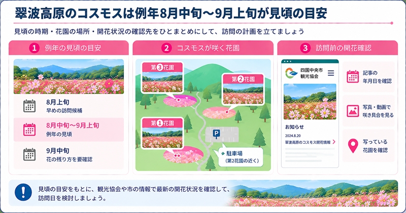 翠波高原のコスモスは例年8月中旬〜9月上旬が見頃の目安