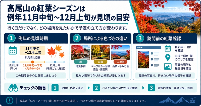高尾山の紅葉シーズンは例年11月中旬〜12月上旬が見頃の目安