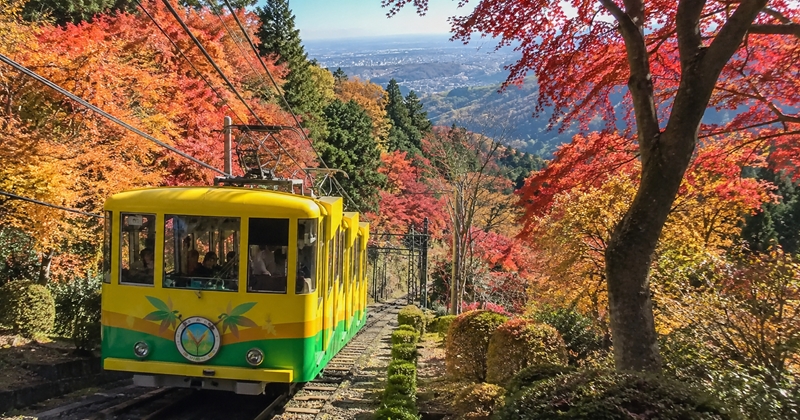 高尾山の紅葉はいつからいつまで楽しめる?