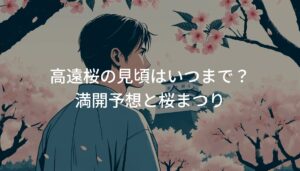 高遠城址公園の桜の見頃はいつまで？満開予想と桜まつり情報