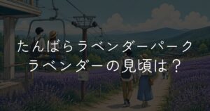 たんばらラベンダーパークの見頃はいつ？開花状況を解説