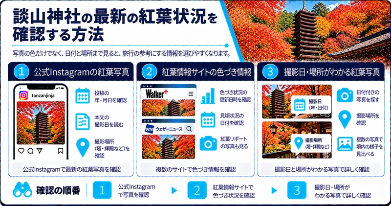 談山神社の最新の紅葉状況を確認する方法