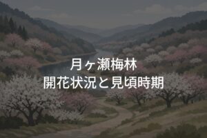 【2026年】月ヶ瀬梅林の開花状況と見頃時期