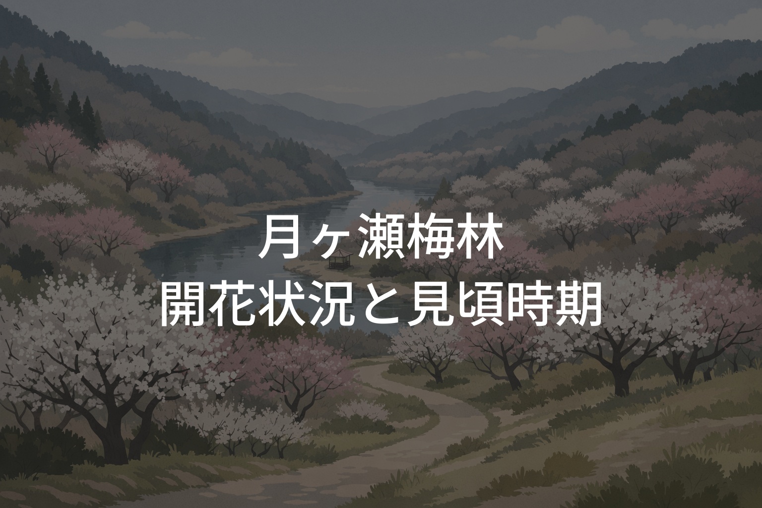 【2026年】月ヶ瀬梅林の開花状況と見頃時期