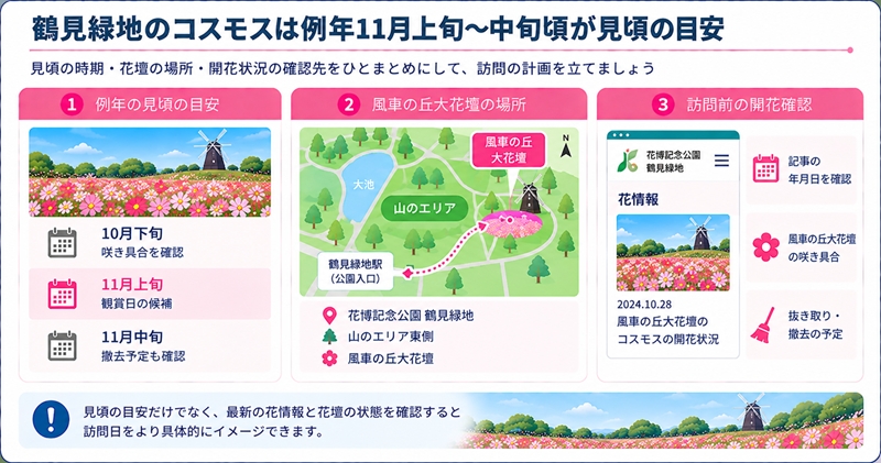 鶴見緑地のコスモスは例年11月上旬~中旬頃が見頃の目安