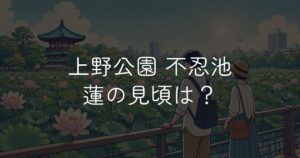 上野公園 不忍池 蓮の花の開花状況と見頃時期を解説