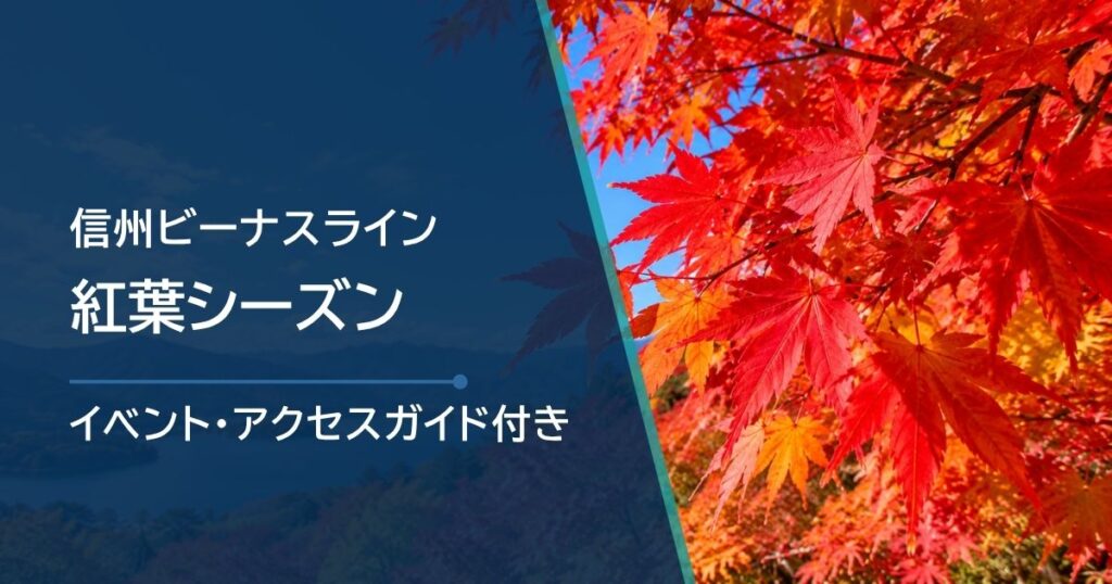 ビーナスラインの紅葉シーズンはいつ？エリア別の見頃時期と最新状況の確認方法