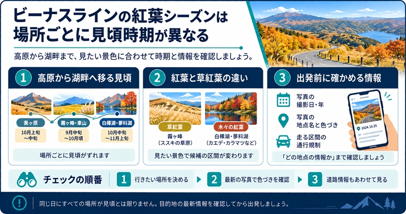 ビーナスラインの紅葉シーズンは場所ごとに見頃時期が異なる