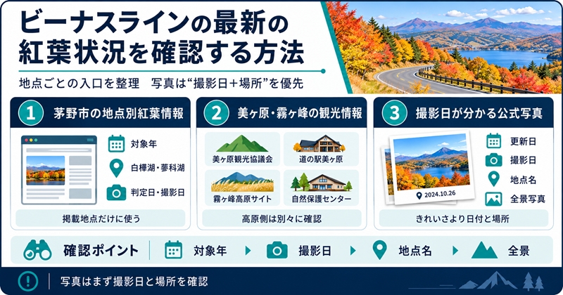 ビーナスラインの最新の紅葉状況を確認する方法