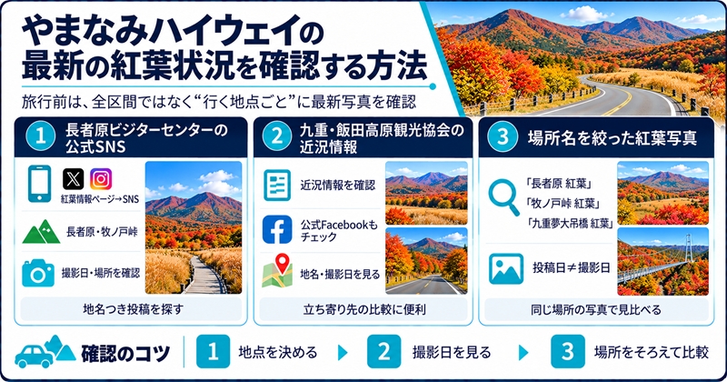 やまなみハイウェイの最新の紅葉状況を確認する方法