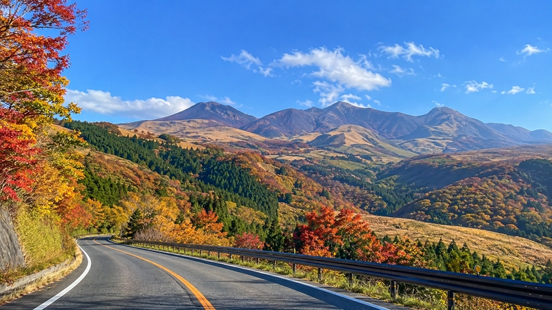 やまなみハイウェイの紅葉シーズンの見頃時期はいつからいつまで？