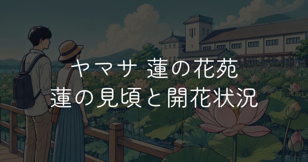 ヤマサ蒲鉾工場 蓮の花苑の開花状況！見頃はいつまで？